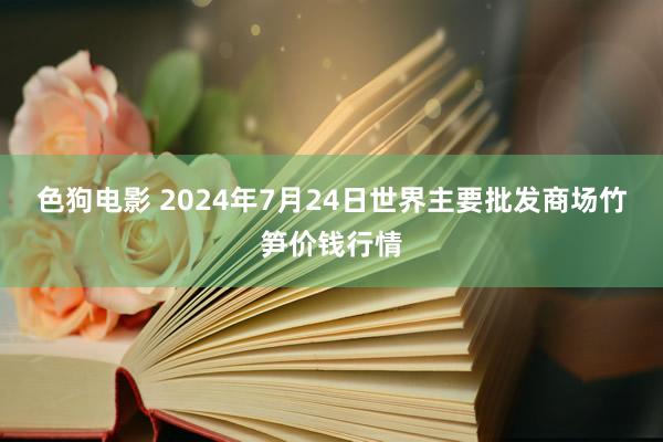 色狗电影 2024年7月24日世界主要批发商场竹笋价钱行情