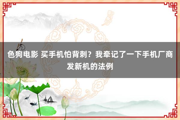 色狗电影 买手机怕背刺？我牵记了一下手机厂商发新机的法例