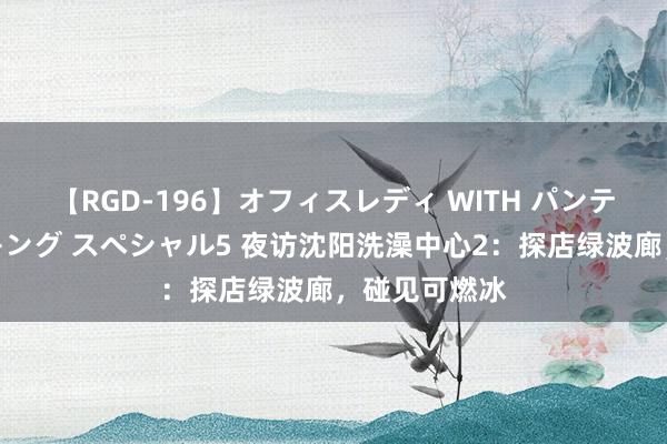 【RGD-196】オフィスレディ WITH パンティーストッキング スペシャル5 夜访沈阳洗澡中心2：探店绿波廊，碰见可燃冰