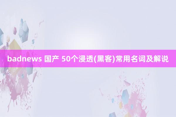 badnews 国产 50个浸透(黑客)常用名词及解说